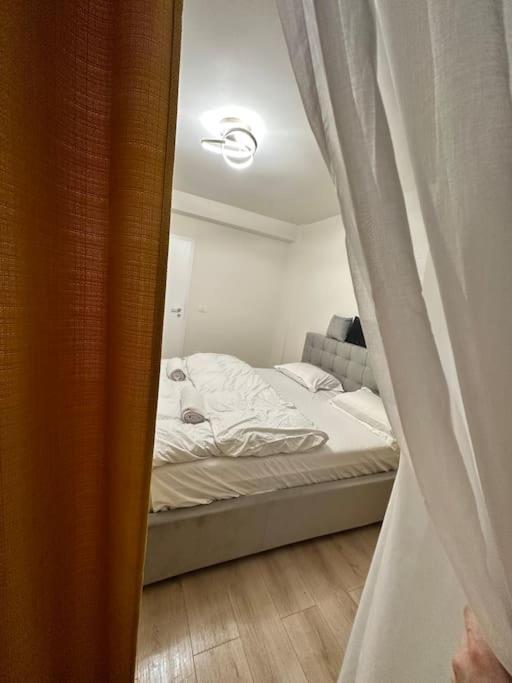 Ultracentral Luxury Apartament Timisoara Luaran gambar