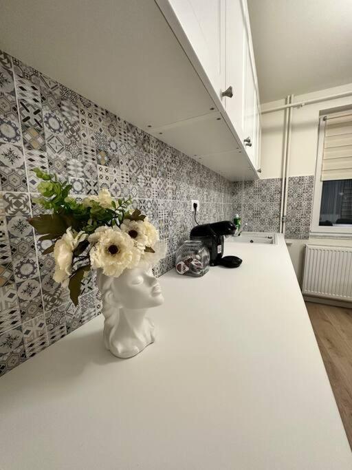 Ultracentral Luxury Apartament Timisoara Luaran gambar