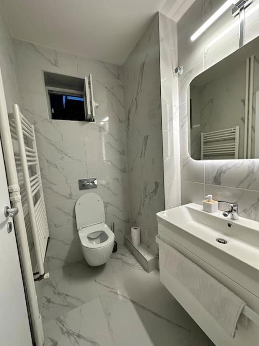Ultracentral Luxury Apartament Timisoara Luaran gambar